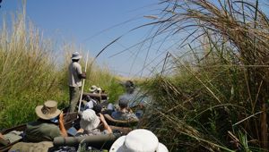  Okavango Delta. Image credit:  Jez Hollinshead