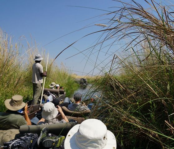 Sunway Botswana Okavango Jez Hollinshead-00660