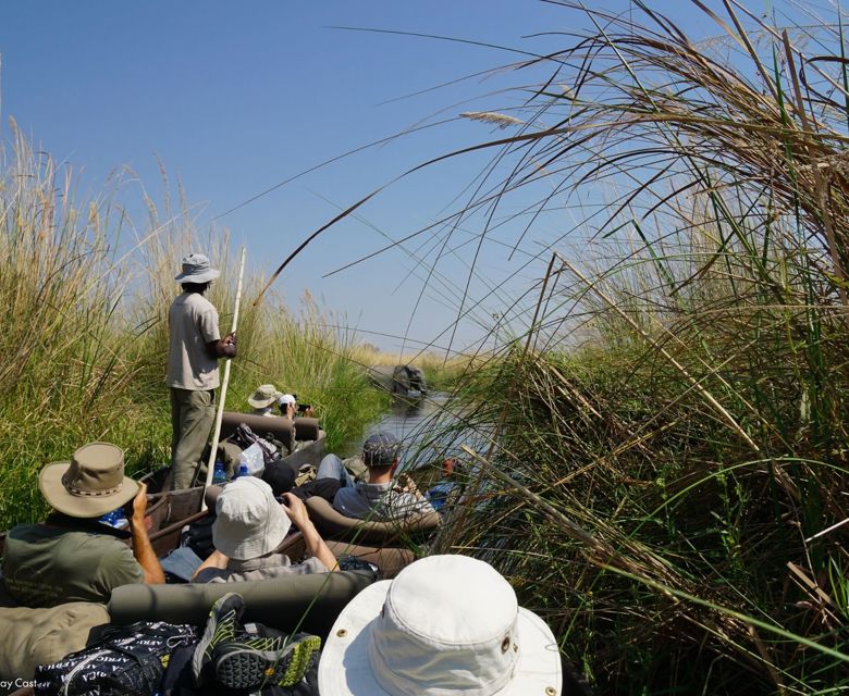  Okavango Delta. Image credit:  Jez Hollinshead