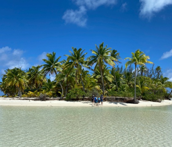 Island with palm trees