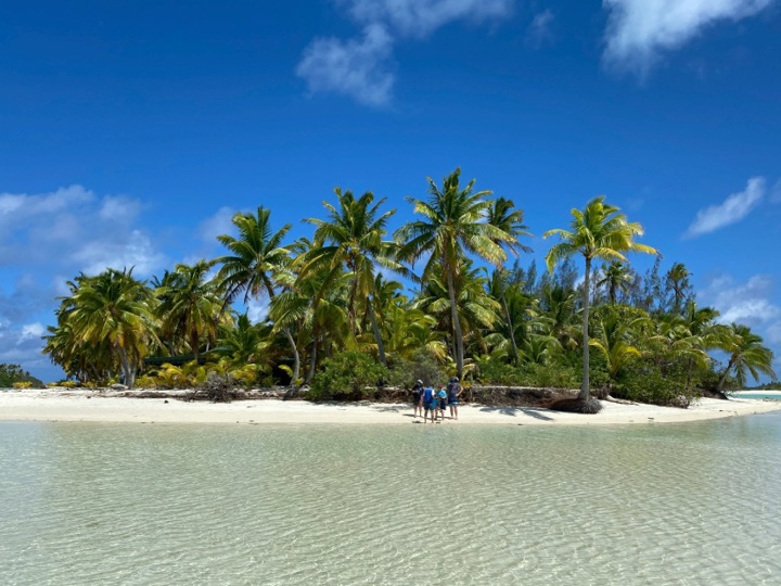 Island with palm trees