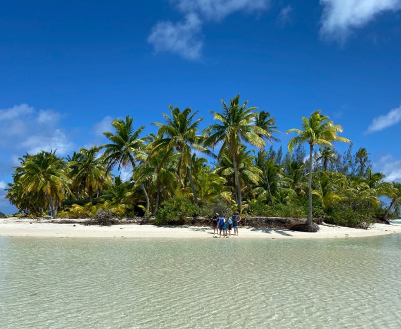 Island with palm trees