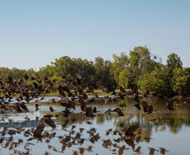 Yellow Water billabong