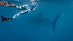 Live Ningaloo Ningaloo 126745 © Tourism WA