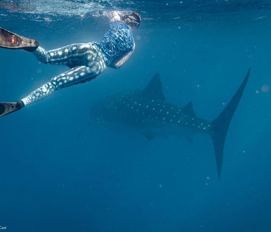 Live Ningaloo Ningaloo 126745 © Tourism WA
