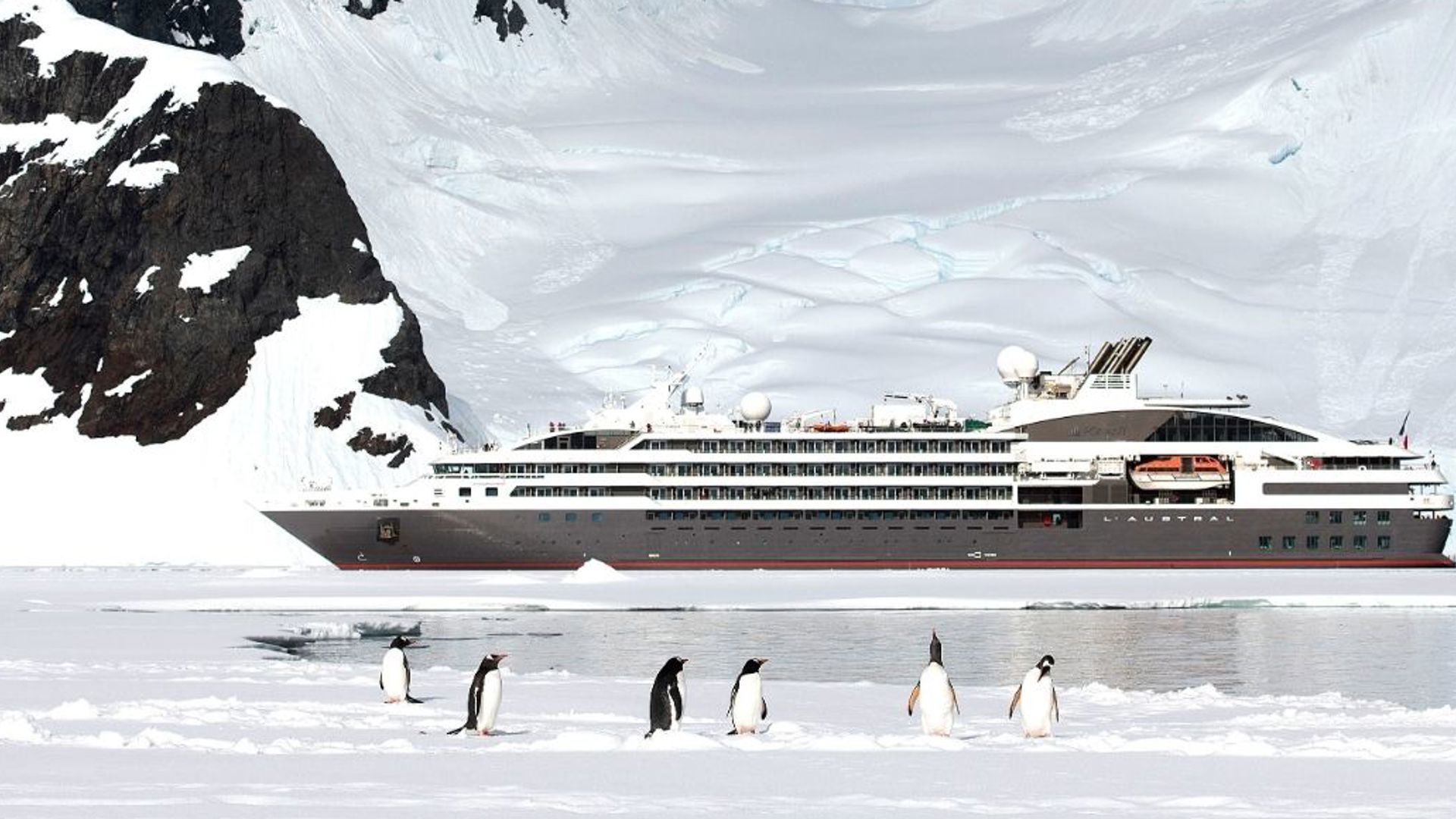 Antarctica Cruises in Luxurious Ponant Expeditions