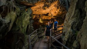 Capricorn Caves