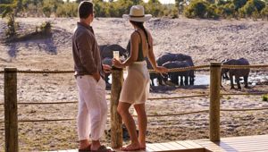 Waterfalls and Wildlife - Savute Safari Lodge 