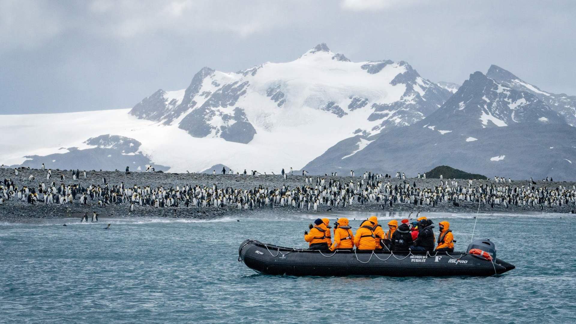 Your Expedition Team