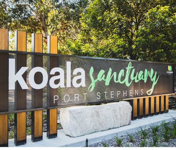 Koala Sanctuary Port Stephens, One Mile 177522 © Destination NSW