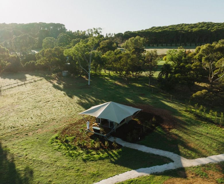 CABN CANVS Seppeltsfield Barossa Aerial View