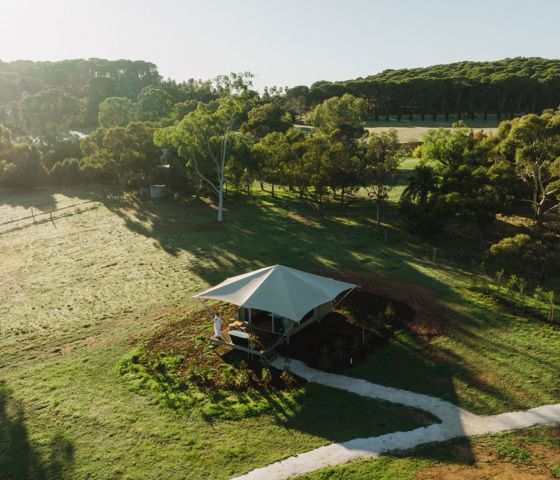 CABN CANVS Seppeltsfield Barossa Aerial View