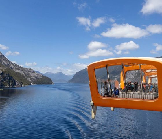 Doubtful Sounds Magic Carpet