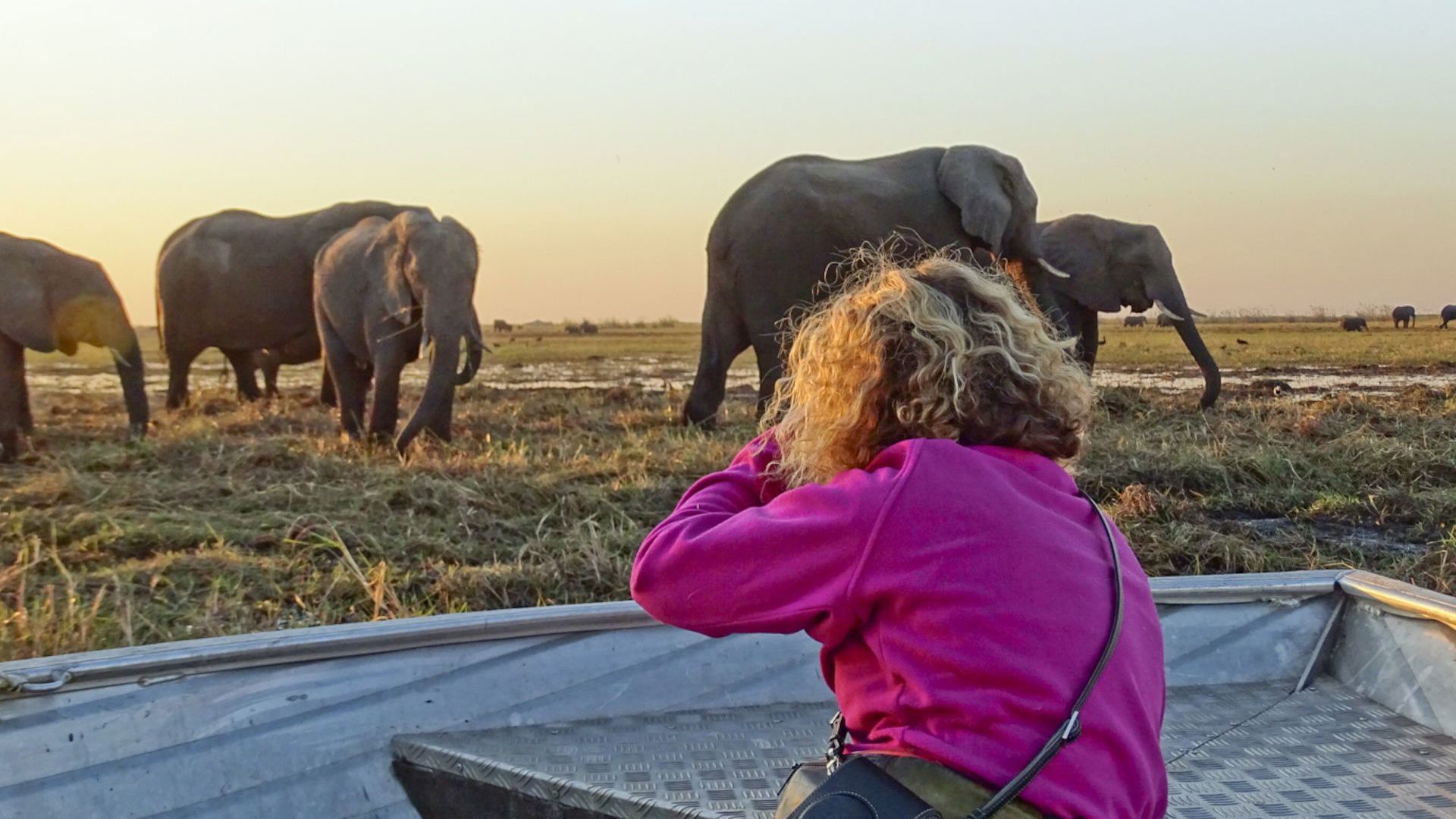Sunway Botswana Chobe river cruise credit Grace Kemp