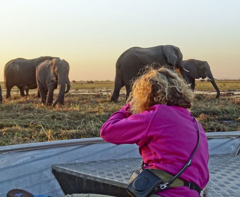 Sunway Botswana Chobe river cruise credit Grace Kemp