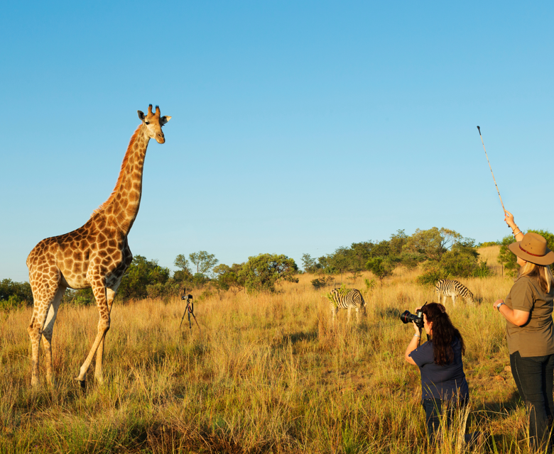 Cheap Flights to Johannesburg