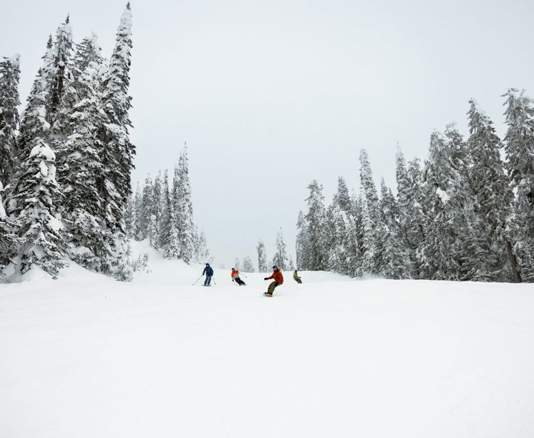 Sliverstar - Travel&CO