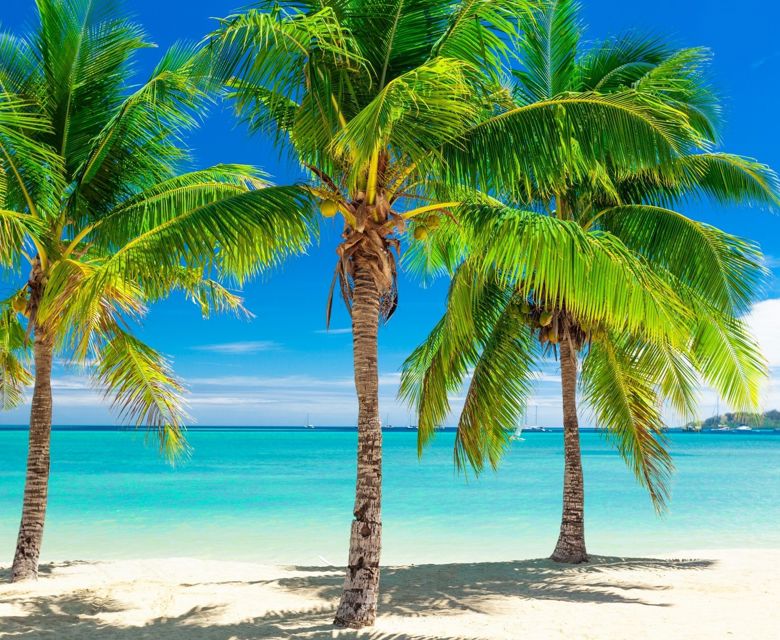 Fiji on Sale