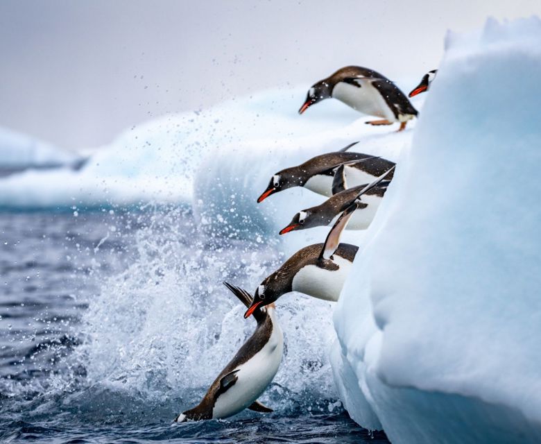 Seabourn Antarctica Pleneau