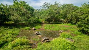 GalapagosExperience36