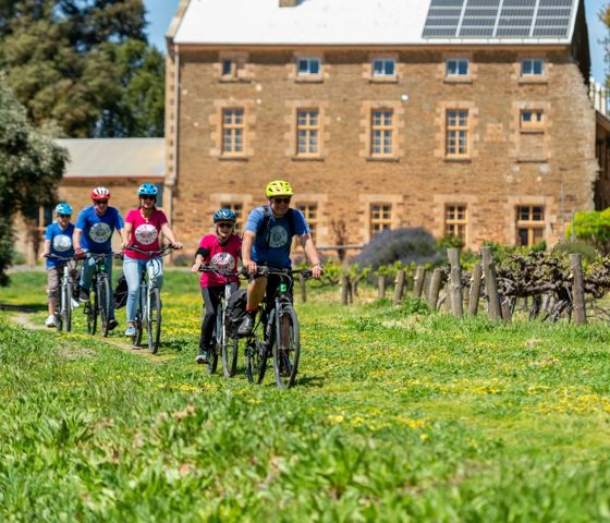 South Australia ABP2617 CR Tour De Vines