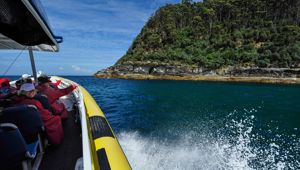 OS Experience Tasmanian Wilderness Explorer Bruny Island 19_CR Journey Beyond