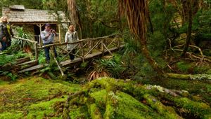 OS Experience Tasmanian Wilderness Explorer Waldheim 5_CR Journey Beyond