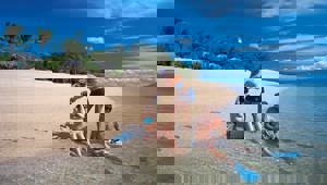 Sailaway - snorkelling