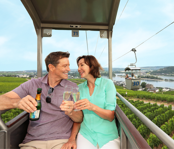 Rudesheim Gondolas AmaWaterways