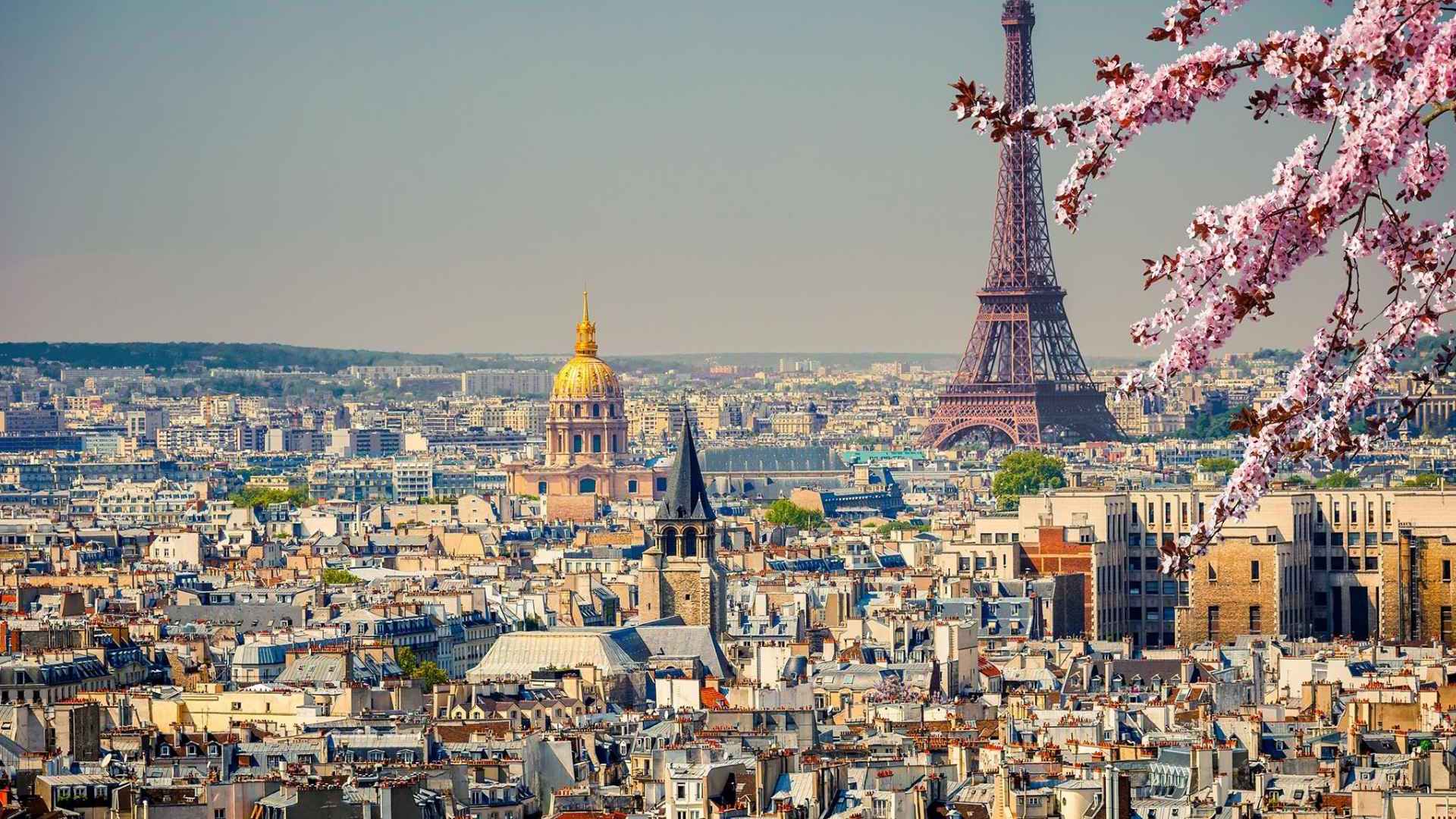 Eiffel Tower Blossoms Cityscape Paris