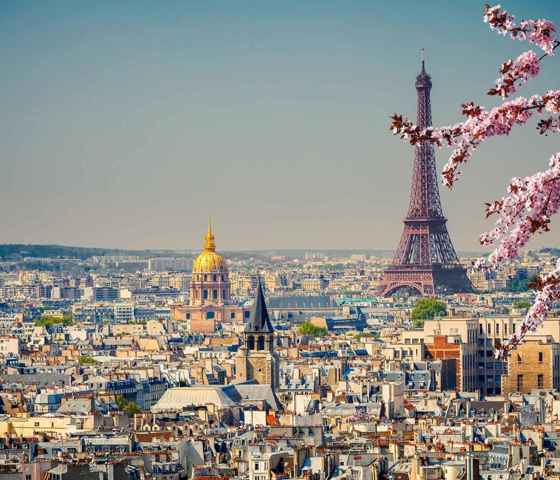 Eiffel Tower Blossoms Cityscape Paris