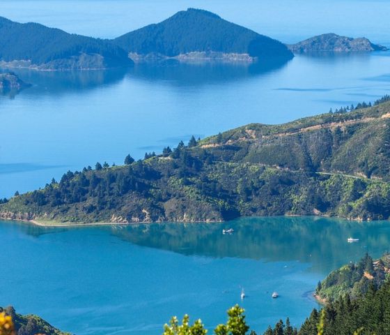 Marlborough Sounds
