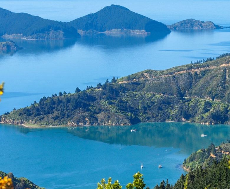 Marlborough Sounds
