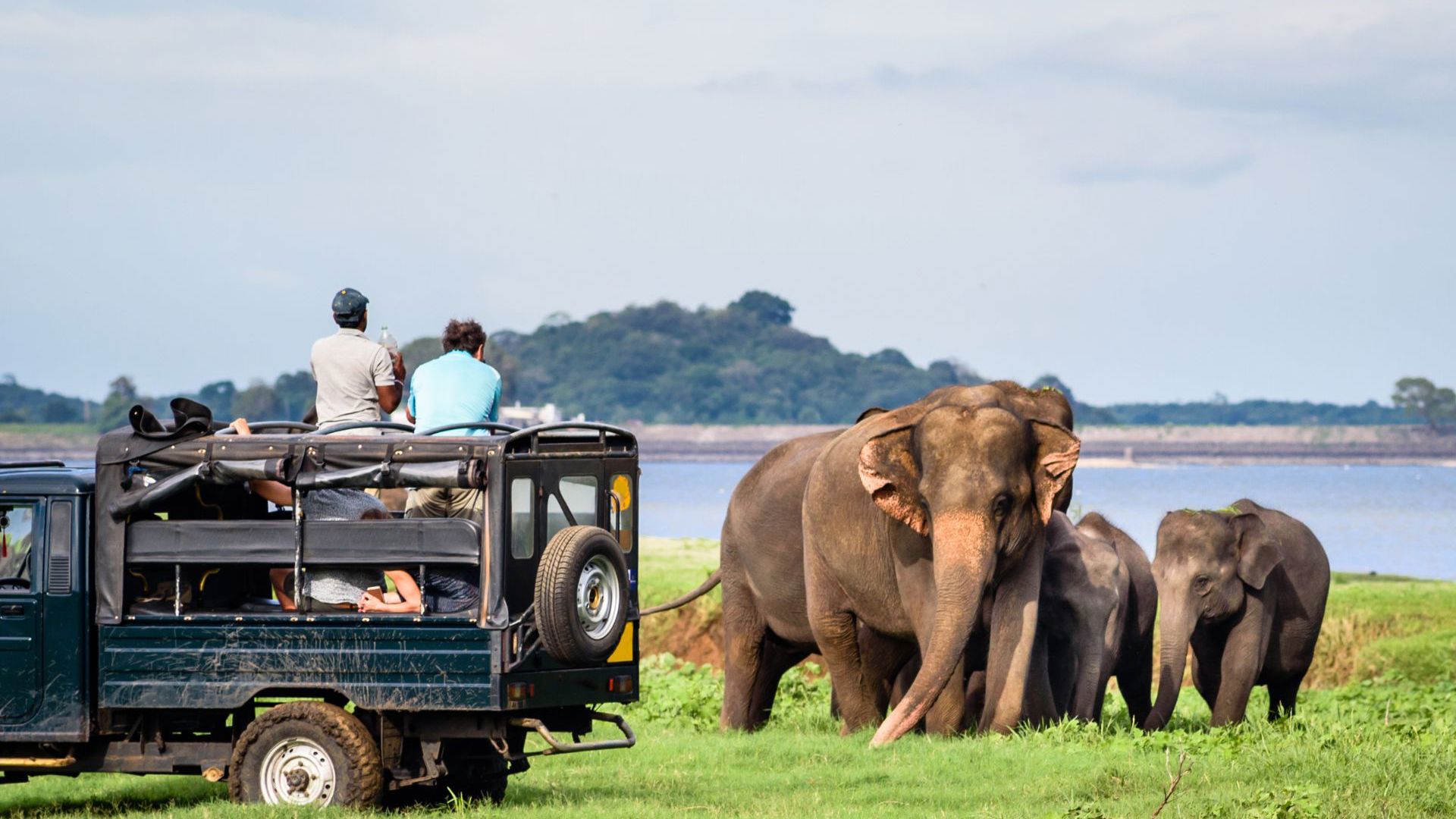 Yala National Park with Total Holiday Options