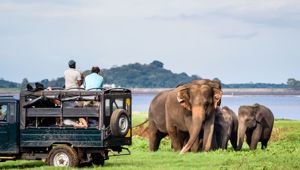 Yala National Park with Total Holiday Options
