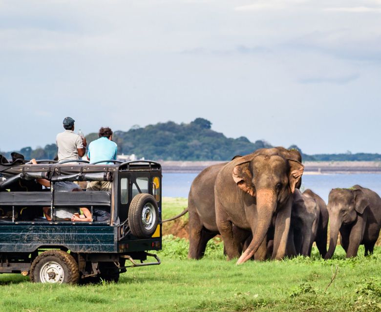 Yala National Park with Total Holiday Options