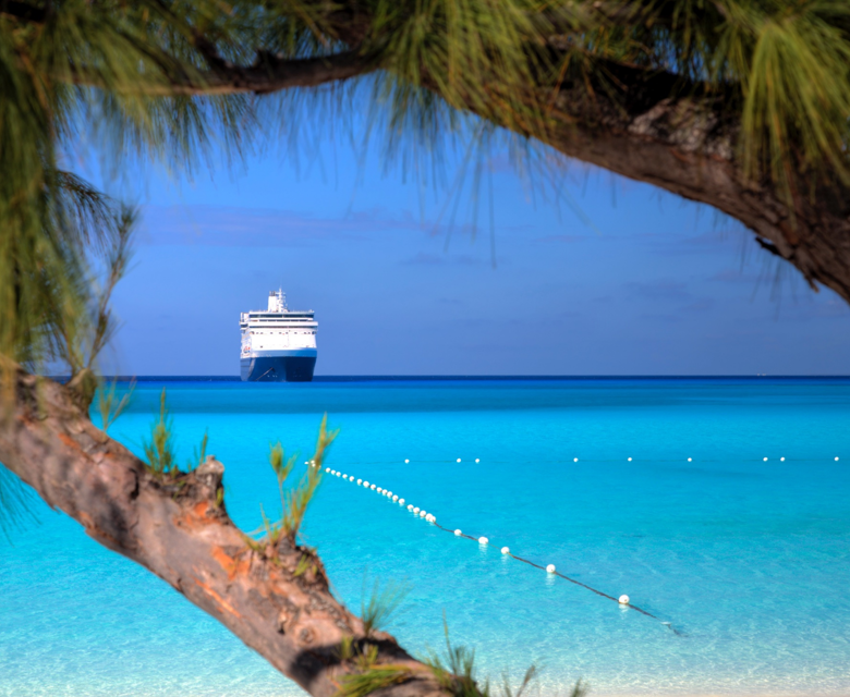 New Zealand Cruise Deals