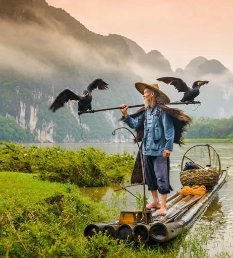 Man on raft with birds