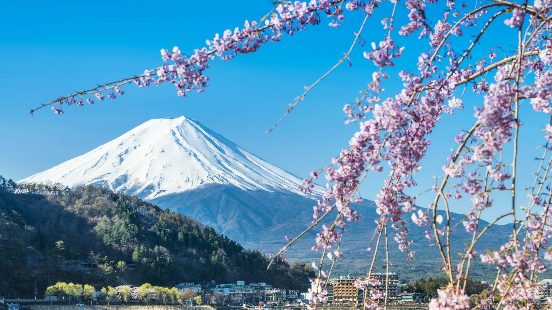 Mt Fuji