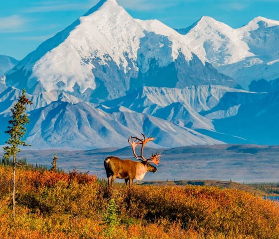 Denali, Alaska