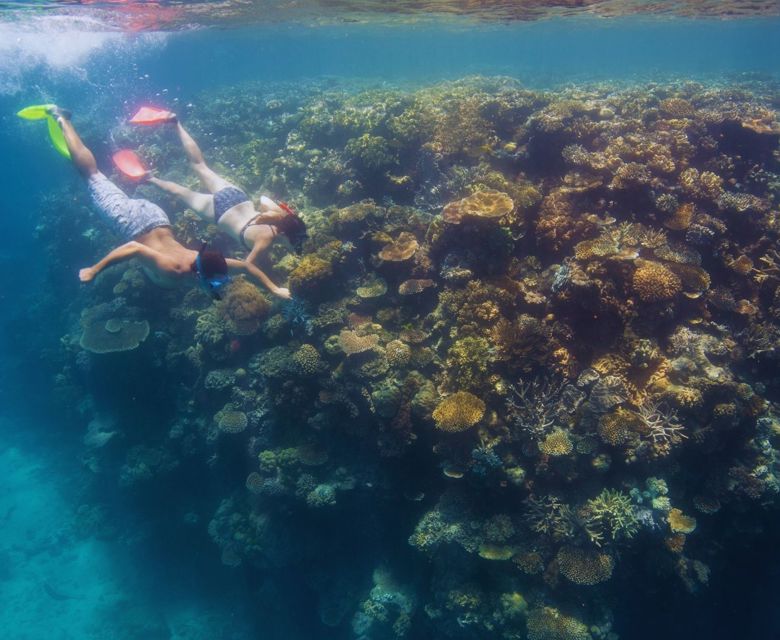 Cairns Snorkeling