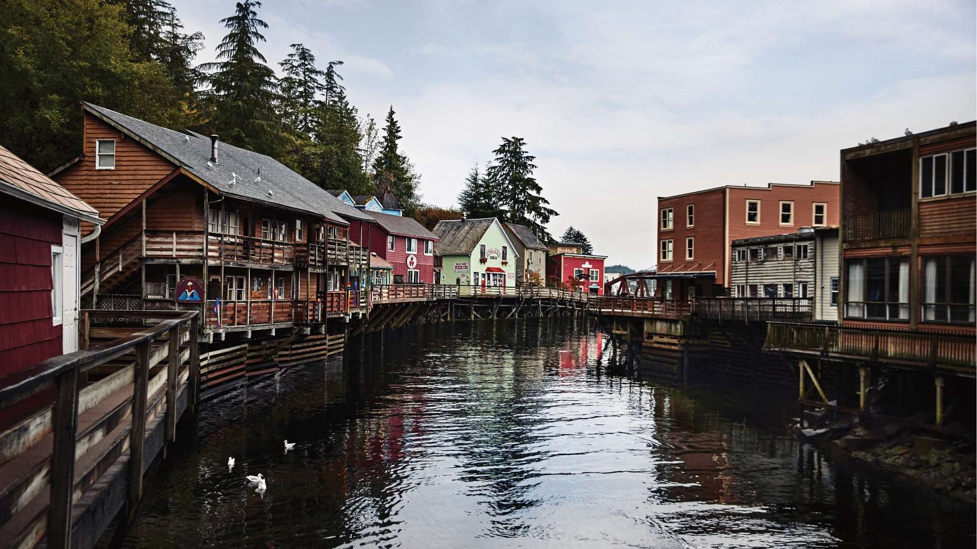 Ketchikan Creek 