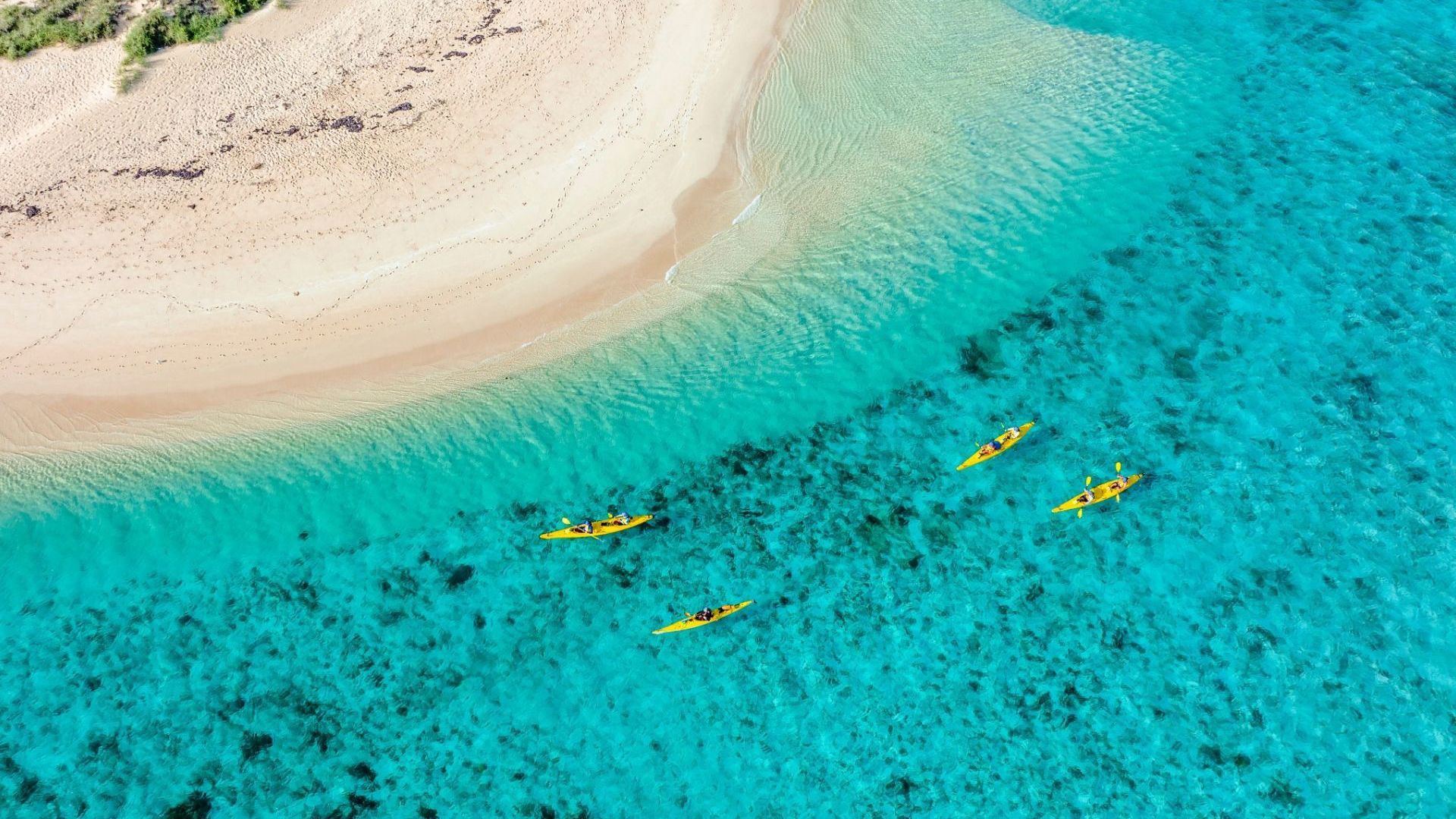 Exmouth Adventure Co Ningaloo 126388 © Tourism WA