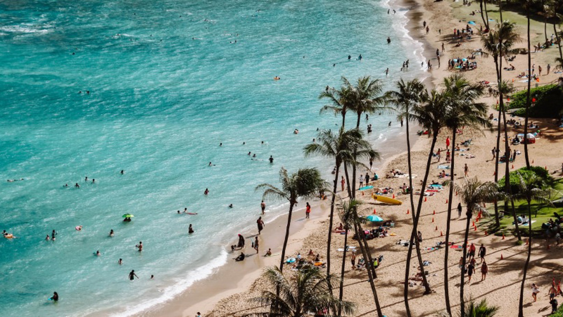 Oahu beach, Hawaii - Image credit: Unsplash/Samantha Sophia