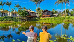Discovery Parks Fraser Street Pond 