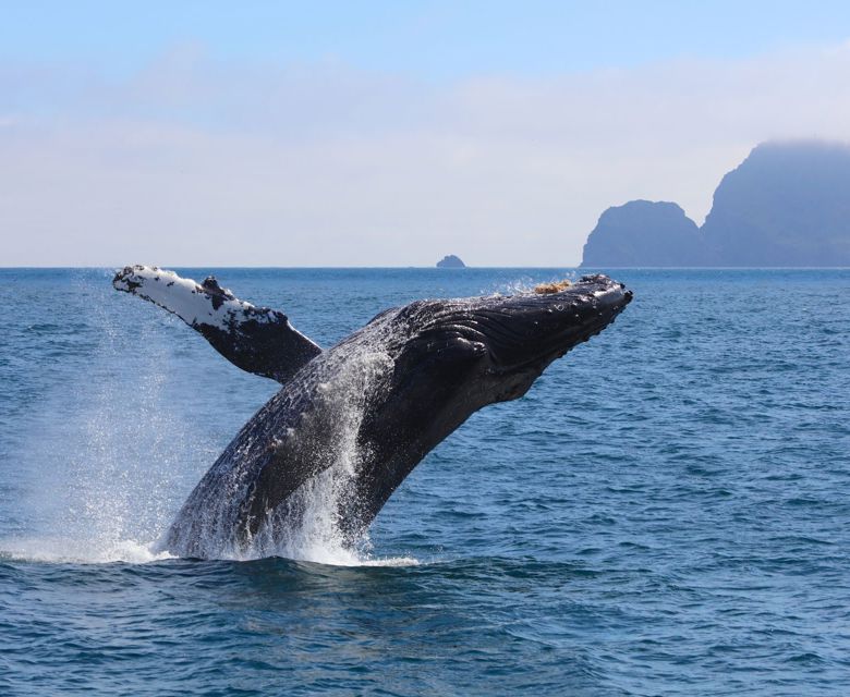 Globus Canada And Alaska Campaign Kenai Fjord NP