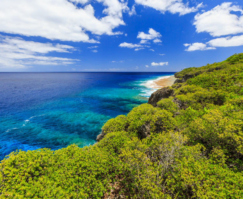 Niue FAQs