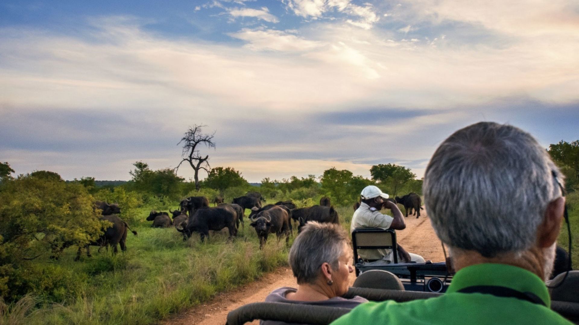 Viva Expeditions - Game Drive
