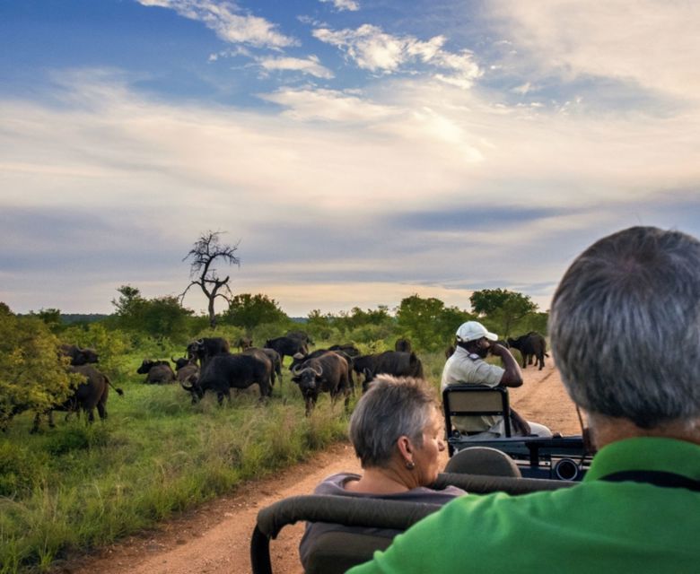Viva Expeditions - Game Drive