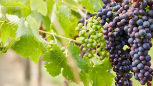 Melbourne, Australia